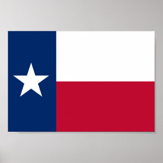 Texas-Flagge Poster