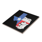 Texas: Flagge und Silhouette von Texas, Fliese (Seite)