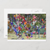 Texas Flasche Tree Postkarte (Vorne/Hinten)