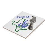 Texas Fliese (Seite)