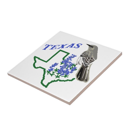 Texas Fliese (Seite)