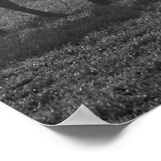 Texas Fog Poster (Ecke)