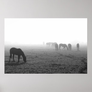 Texas Fog Poster