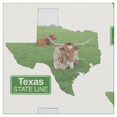 Texas-Form mit langgestreckter Staat-Linie, Zeiche Stoff (Nahaufnahme)