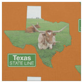 Texas-Form mit langgestreckter Staat-Linie, Zeiche Stoff (Nahaufnahme)