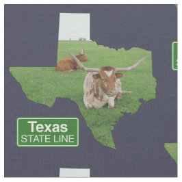 Texas-Form mit langgestreckter Staat-Linie, Zeiche Stoff
