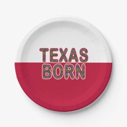 Texas Geboren Bluebonnet Pappteller (Vorderseite)