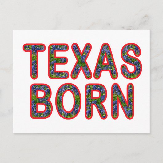 Texas Geboren Bluebonnet Postkarte (Vorderseite)