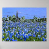Texas Hill Country Bluebonnets/Kaktus Art Print Poster (Vorne)