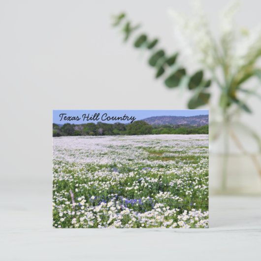 Texas Hill Country Postcard Postkarte (Stehend Vorderseite)