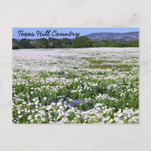 Texas Hill Country Postcard Postkarte