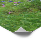 Texas Hill Country Print Poster (Ecke)