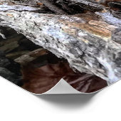 Texas Hill Land Felsen und Bach Poster (Ecke)