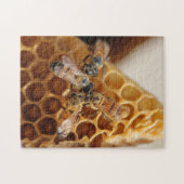 Texas Honeybees | Honeycomb Hive Puzzle (Horizontal)