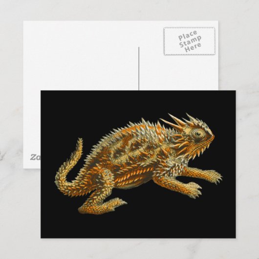 Texas Horned Lizard Postkarte (Vorne/Hinten)