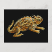 Texas Horned Lizard Postkarte (Vorderseite)