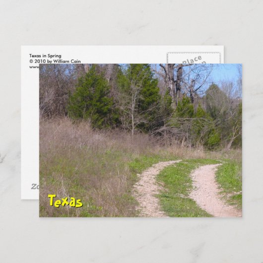 Texas im Frühjahr Postkarte (Vorne/Hinten)