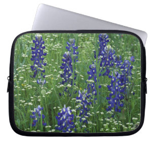 Texas, Lake Buchanan. Texas-Bluebonnet und Wild Laptopschutzhülle