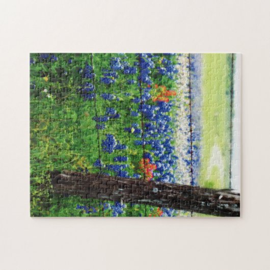 Texas-Landschaft Puzzle (Horizontal)