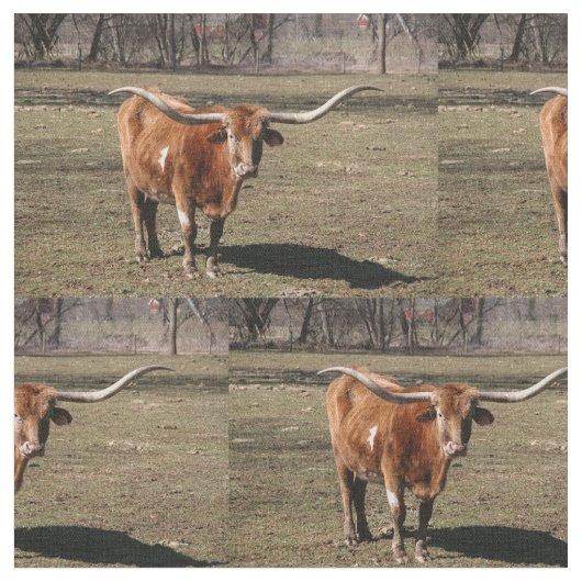 Texas Lange Hörner! Stoff (Nahaufnahme)