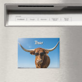 Texas Langkorn in Sonnenbrille Magnet (In Situ (Geschirrspüler))