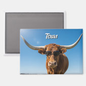 Texas Langkorn in Sonnenbrille Magnet (Vorderseite/Rückseite)
