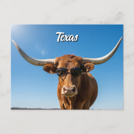 Texas Langkorn in Sonnenbrille Postkarte