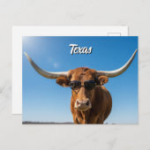 Texas Langkorn in Sonnenbrille Postkarte (Vorne/Hinten)
