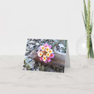 Texas Lantana Blume - Hübsche Blankokarte Dankeskarte