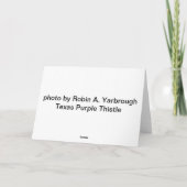 Texas Lila Thistle Grußkarte Karte (Rückseite)