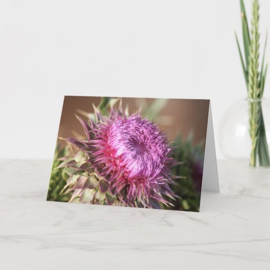 Texas Lila Thistle Grußkarte Karte (Vorderseite)