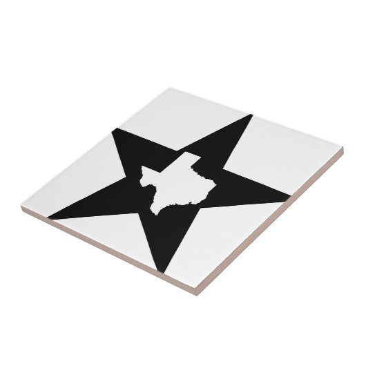 Texas Lone Star Staat USA Custom Ink Fliese (Seite)