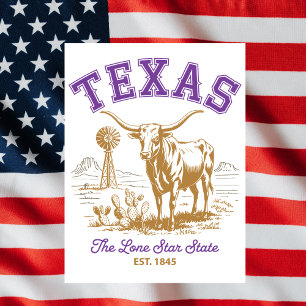 Texas Lone Star State Bull Illustration Reise Postkarte