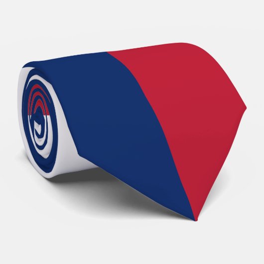 Texas Lonestar Flag Krawatte (Gerollt)