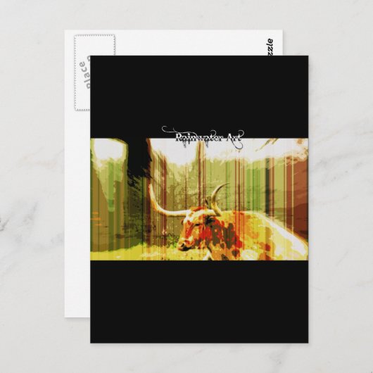 Texas Long Horn Postkarte (Vorne/Hinten)