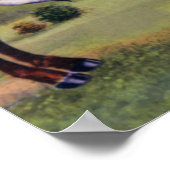 Texas Long Horn Steer Poster (Ecke)