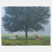 TEXAS LONG HORNS FLEECEDECKE (Vorderseite (Horizontal))