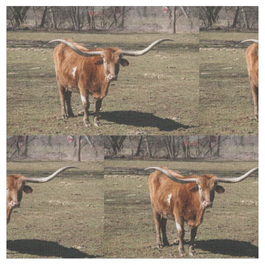 Texas Long Horns! Stoff (Nahaufnahme)