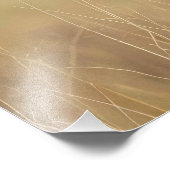 Texas Longhorn Bull Fotodruck (Ecke)