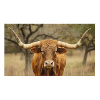 Texas Longhorn Bull