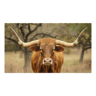 Texas Longhorn Bull Fotodruck