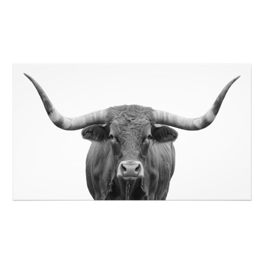 Texas Longhorn Bull Schwarz-weiß Fotodruck (Vorne)