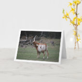 Texas Longhorn Cattle Karte (Gelbe Blume)