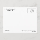 Texas Longhorn Cattle Postkarte (Rückseite)