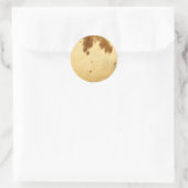 Texas Longhorn Cowhide Tierfutter Druckmuster Runder Aufkleber (Tasche)