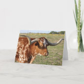 Texas Longhorn Karte (Vorderseite)