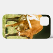 Texas Longhorn Kuh Case-Mate iPhone Hülle (Rückseite (Horizontal))