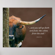 Texas Longhorn Kuh Poster - Anpassbare Aufnahme