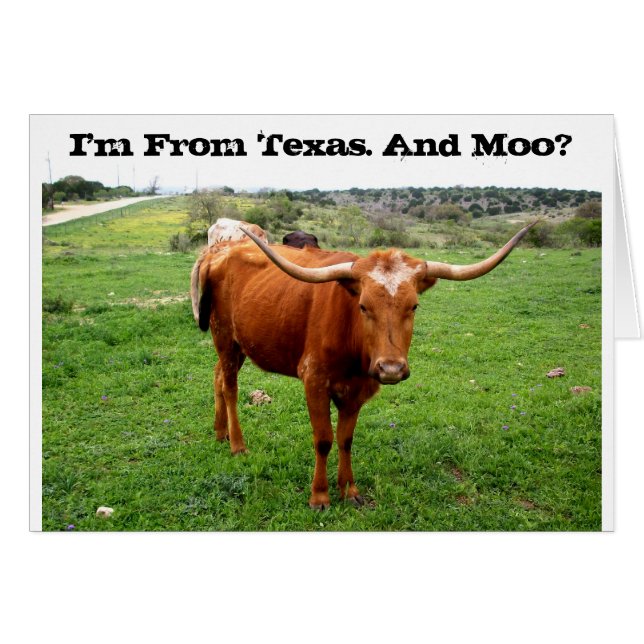 Texas Longhorn mit lustigem Texas-Sprichwort (Vorderseite (Horizontal))
