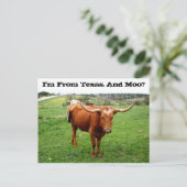 Texas Longhorn mit lustigem Texas-Sprichwort Postkarte (Stehend Vorderseite)